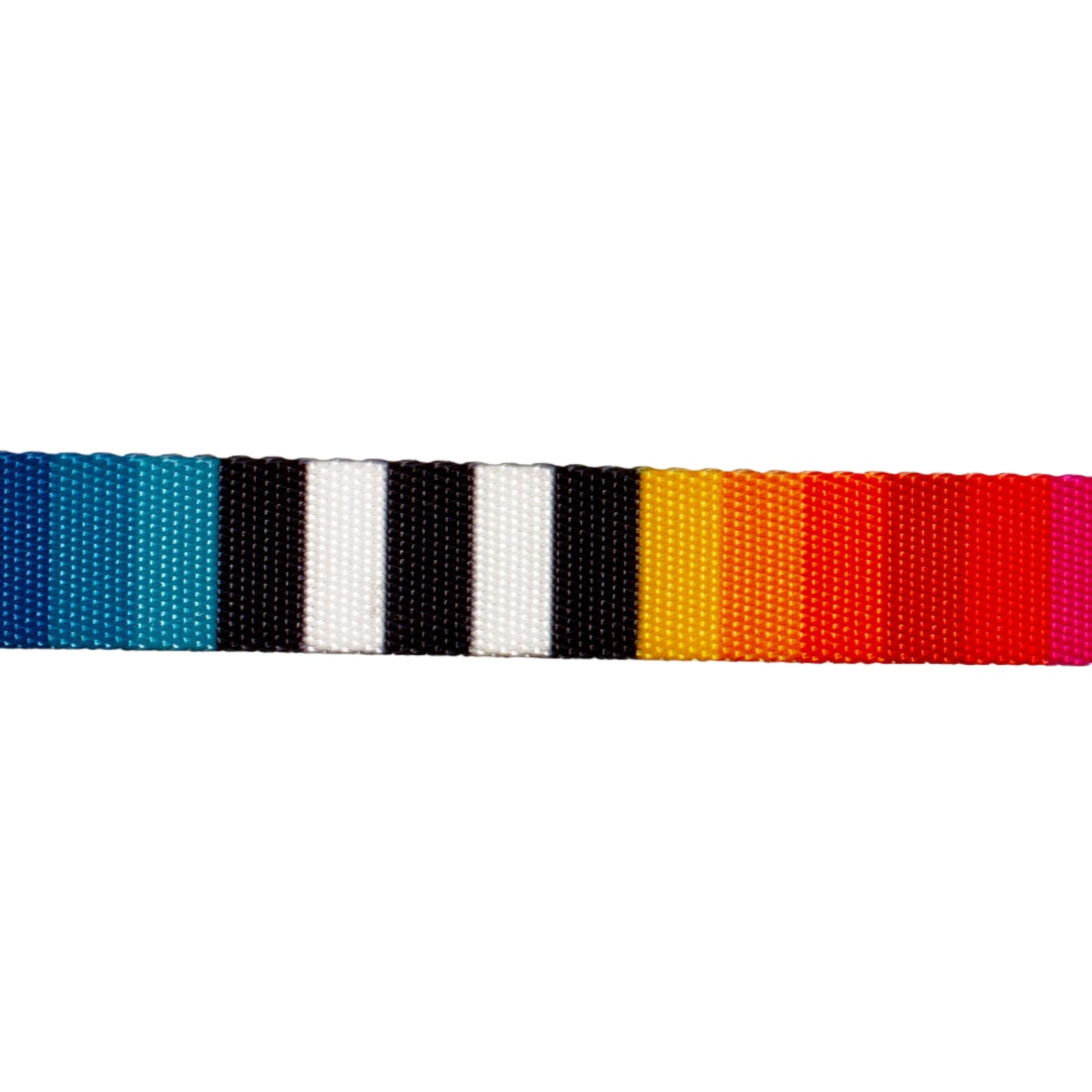 ZeeCat Collar Prisma – Collar Multicolor para Gatos con Broche de Seguridad - Cosmos