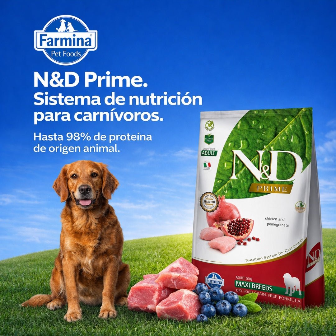N&D Prime Cordero Adult Maxi Pollo 10kg - Cosmos
