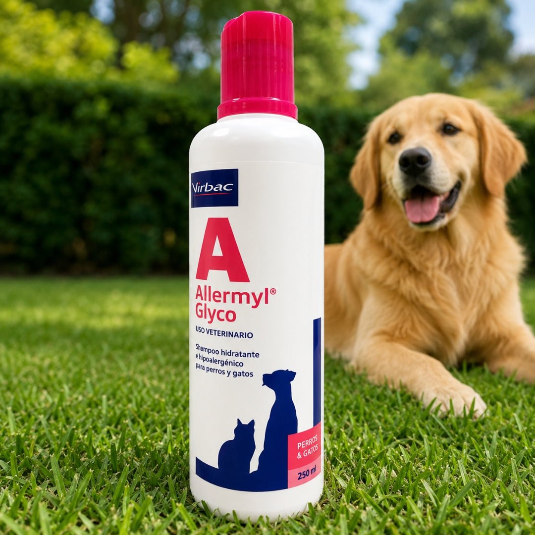 Allermyl Glyco Shampoo – Champú Dermatológico para Perros y Gatos - Cosmos