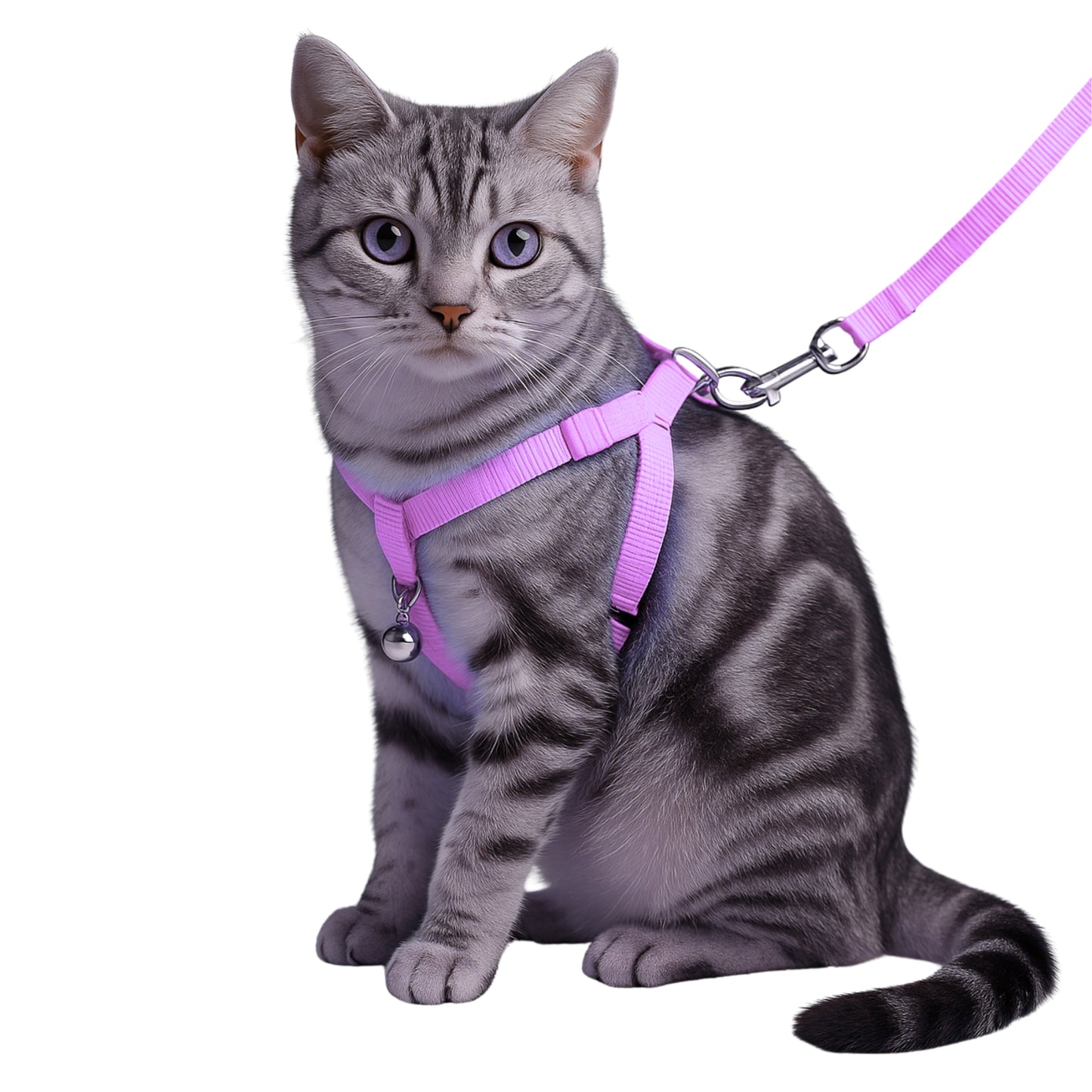 Arnés Mini para Gatos con Correa - COSMOS