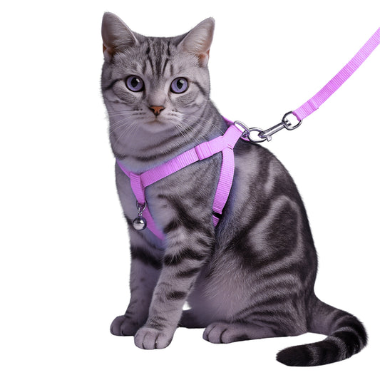 Arnés Mini para Gatos con Correa - COSMOS