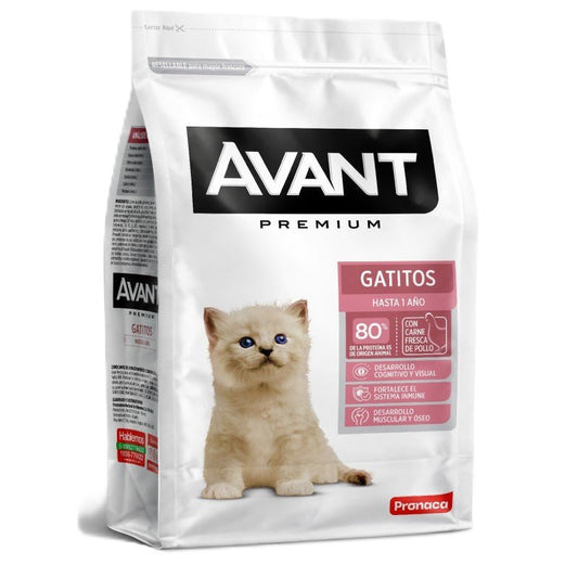 AVANT GATITOS 7kg – Nutrición Premium para Gatitos hasta 1 Año - COSMOS