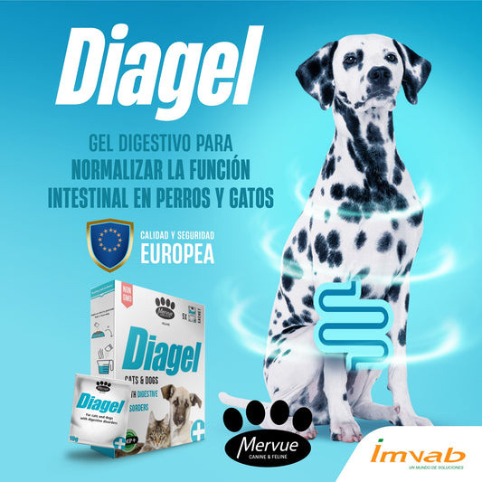 Diagel – Regulador Digestivo Dual Action para Perros y Gatos - Cosmos
