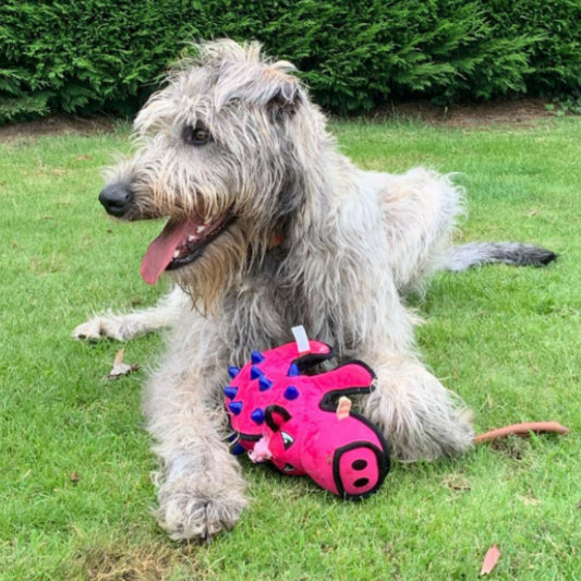 Juguete para perro GIGWI Duraspikes Jabalí - COSMOS