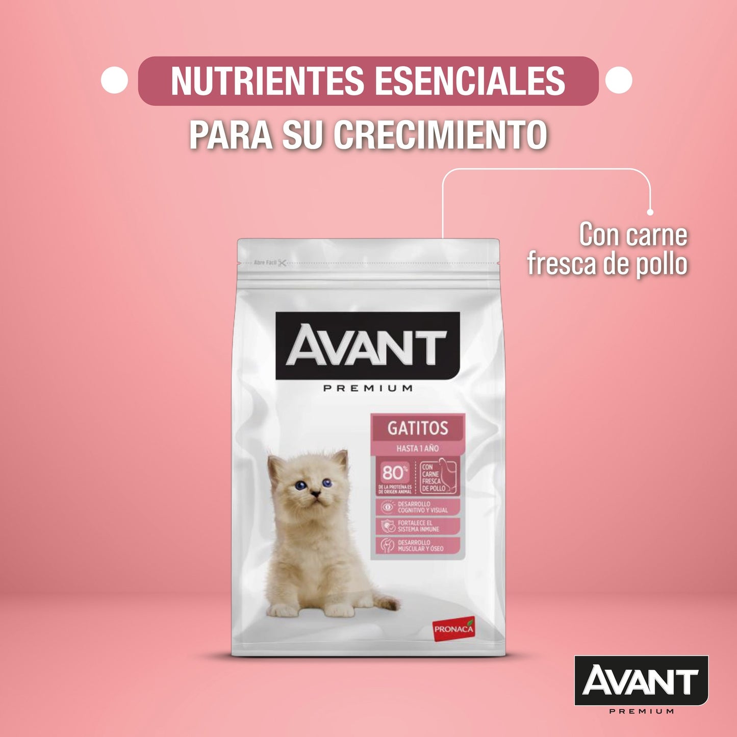 AVANT GATITOS 7kg – Nutrición Premium para Gatitos hasta 1 Año - Cosmos