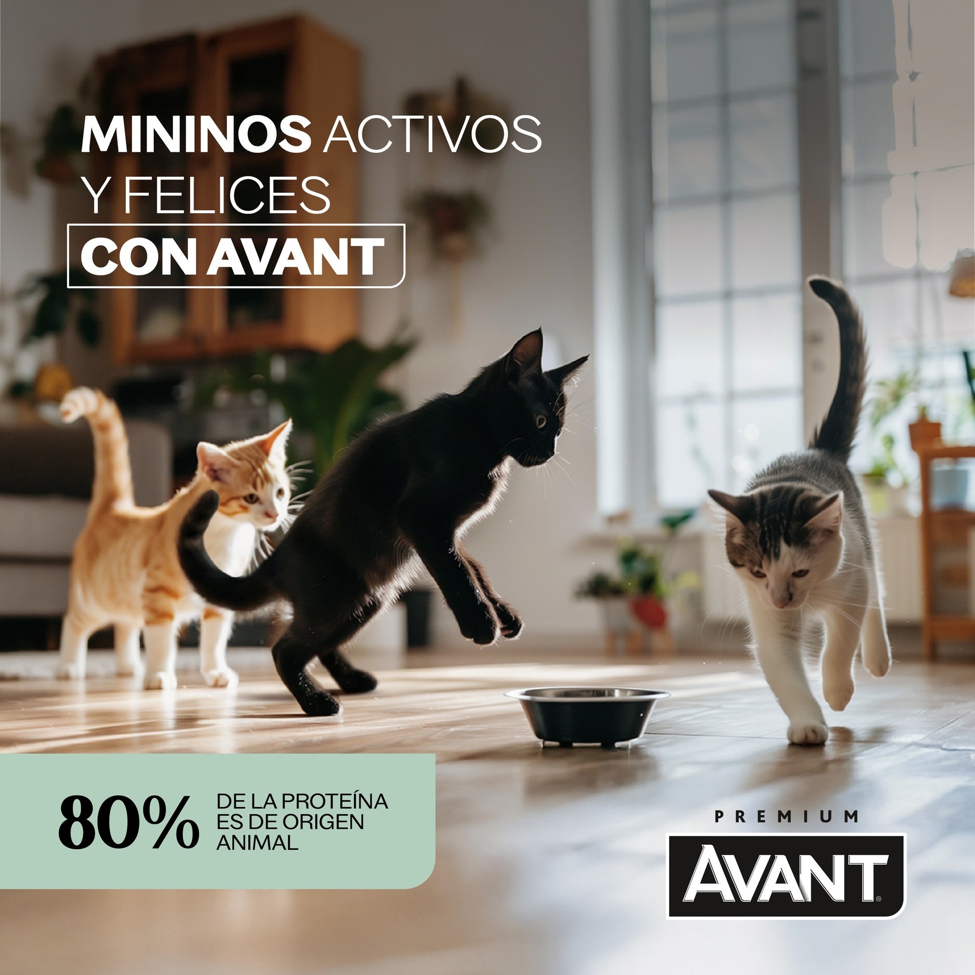 AVANT GATO ADULTO 7 kg Alimento para gato sabor Pollo - Cosmos
