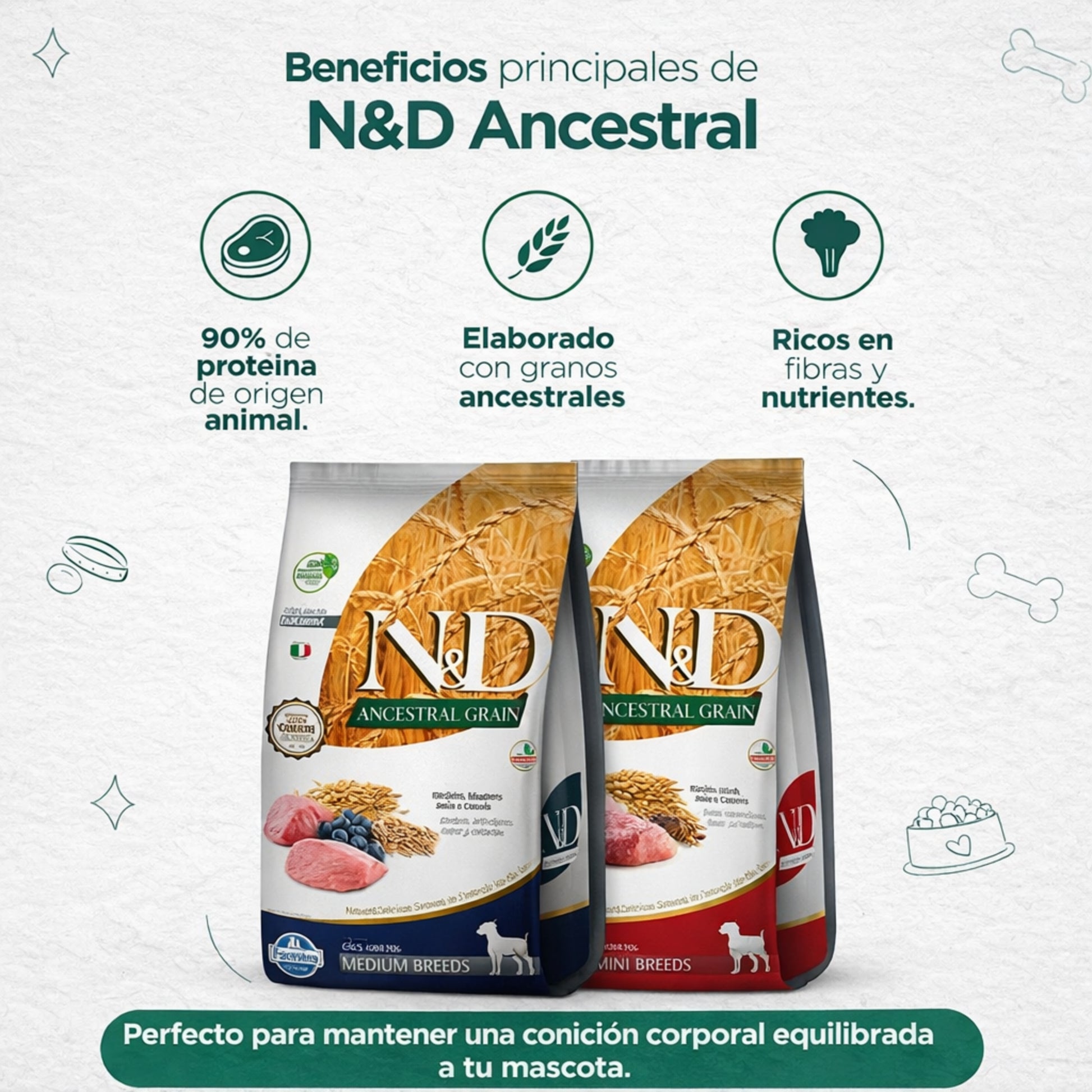 N&D Ancestral Grain Cordero Adulto Medium - Cosmos
