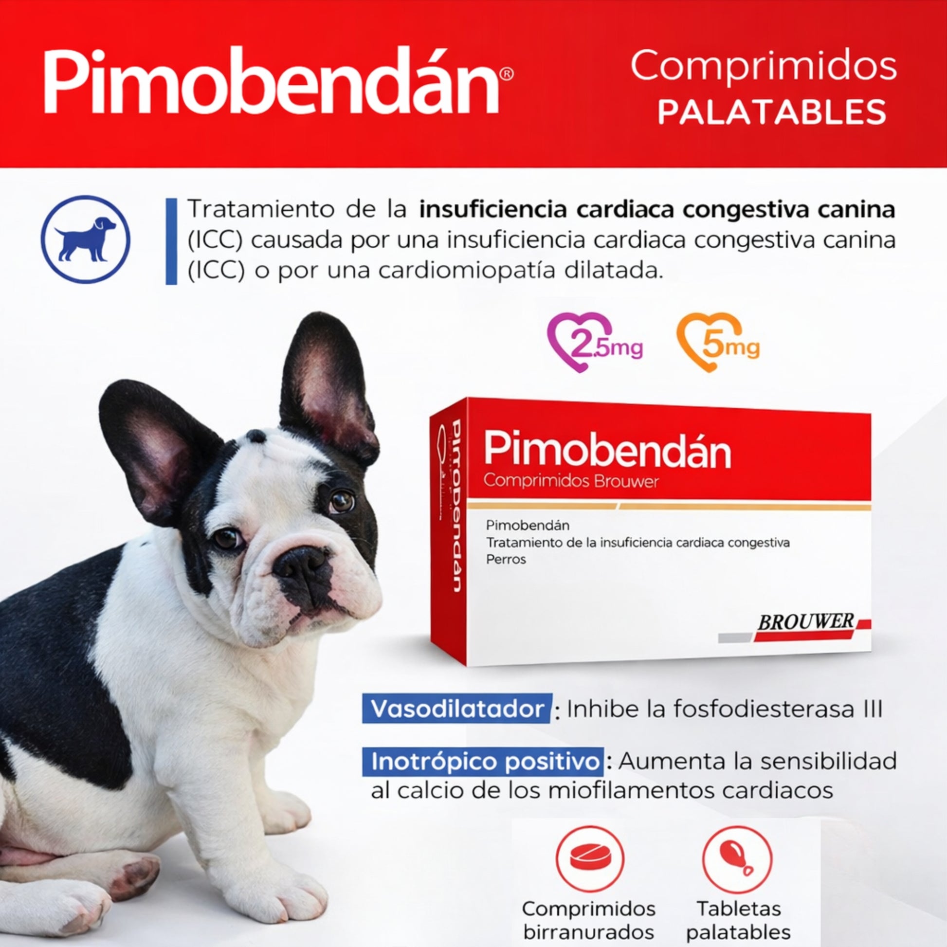 Pimobendán Brouwer – Tratamiento de Insuficiencia Cardíaca - Cosmos