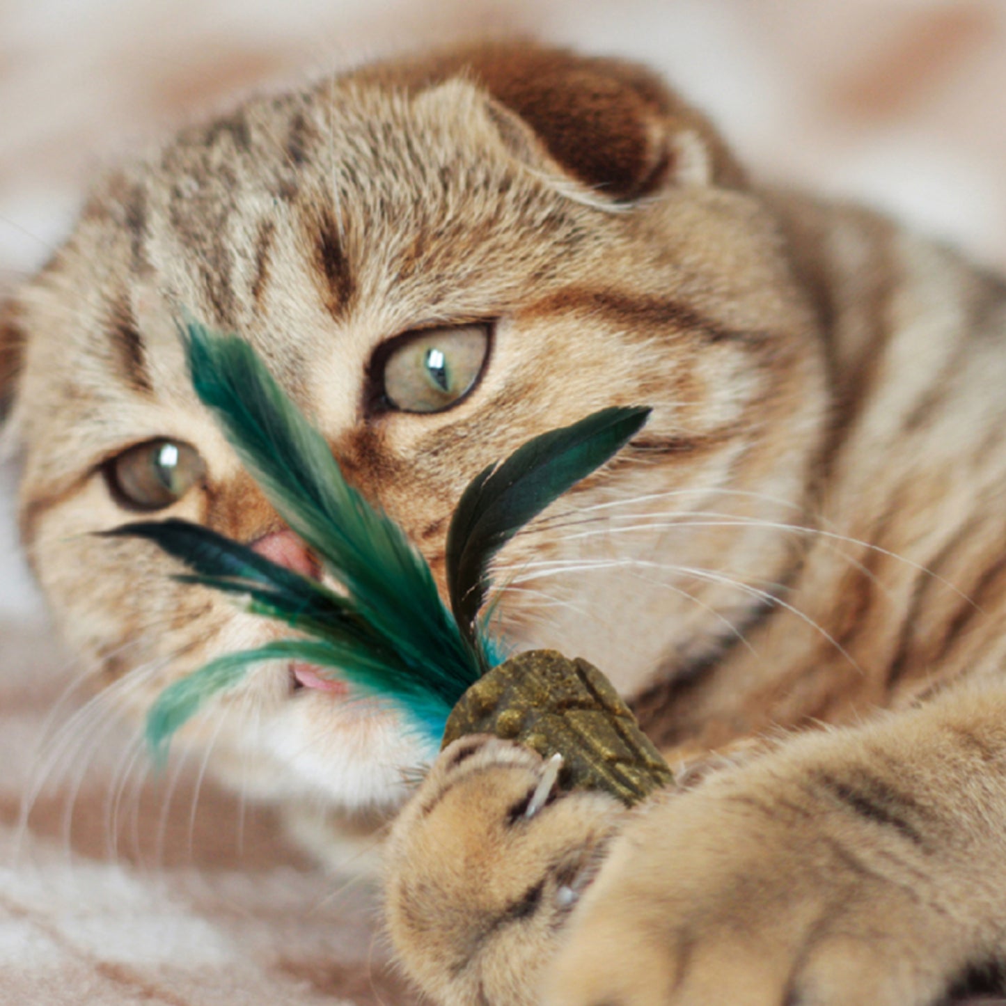 GiGwi Johnny Stick con Catnip - Juguete para Gatos - Cosmos