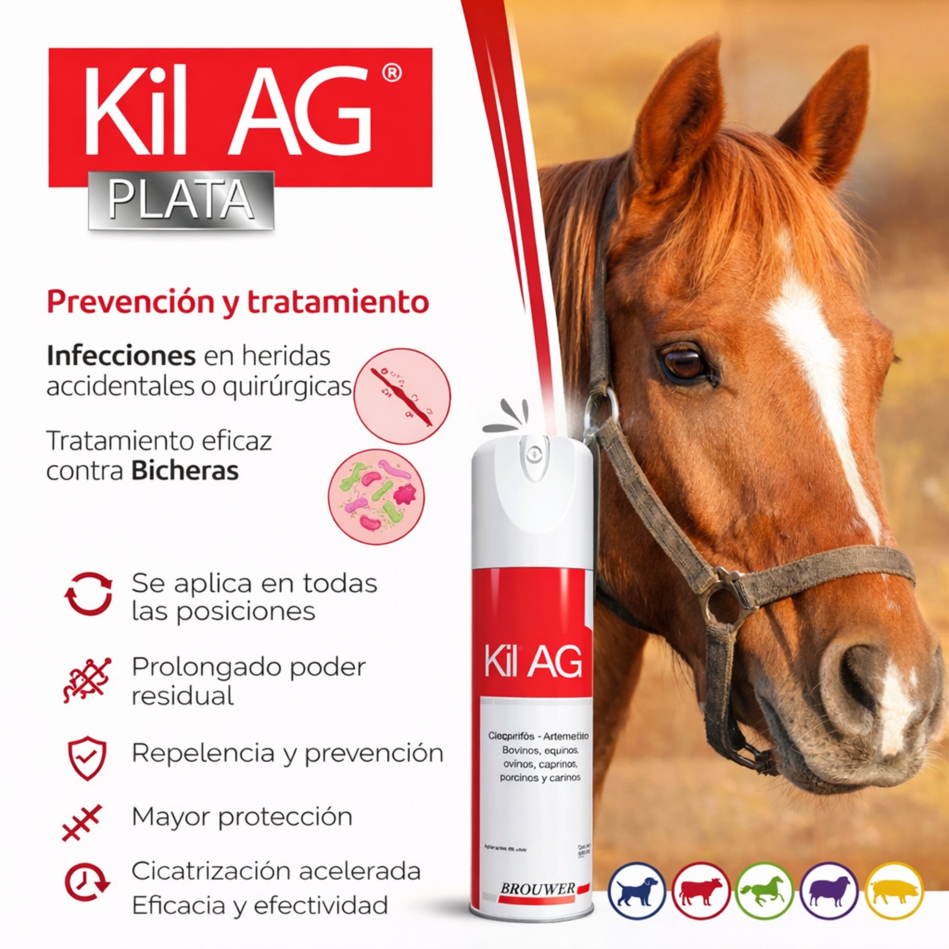 Kil AG Brouwer Spray 440 ml – Tratamiento de Bicheras y Heridas en Animales - Cosmos