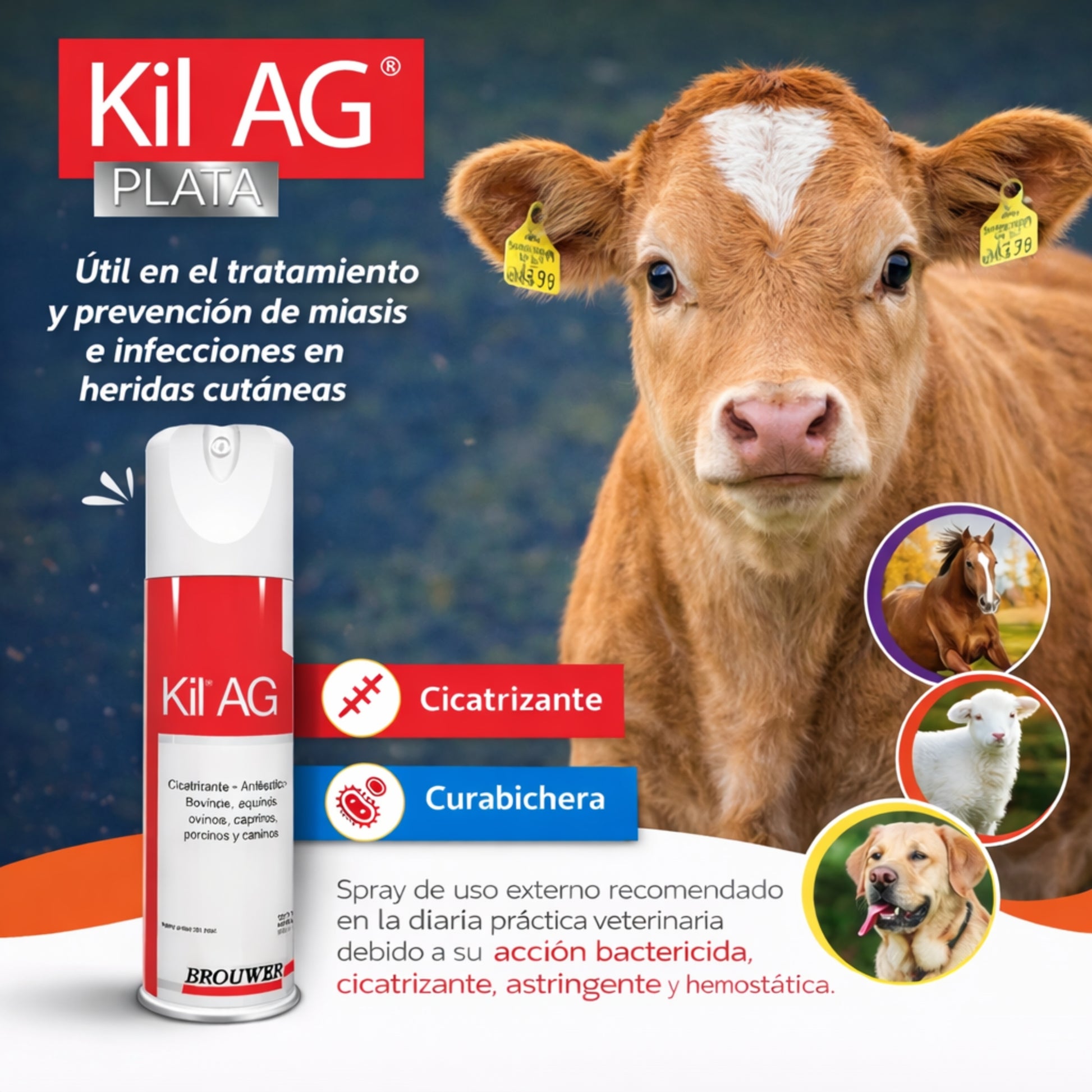Kil AG Brouwer Spray 440 ml – Tratamiento de Bicheras y Heridas en Animales - Cosmos