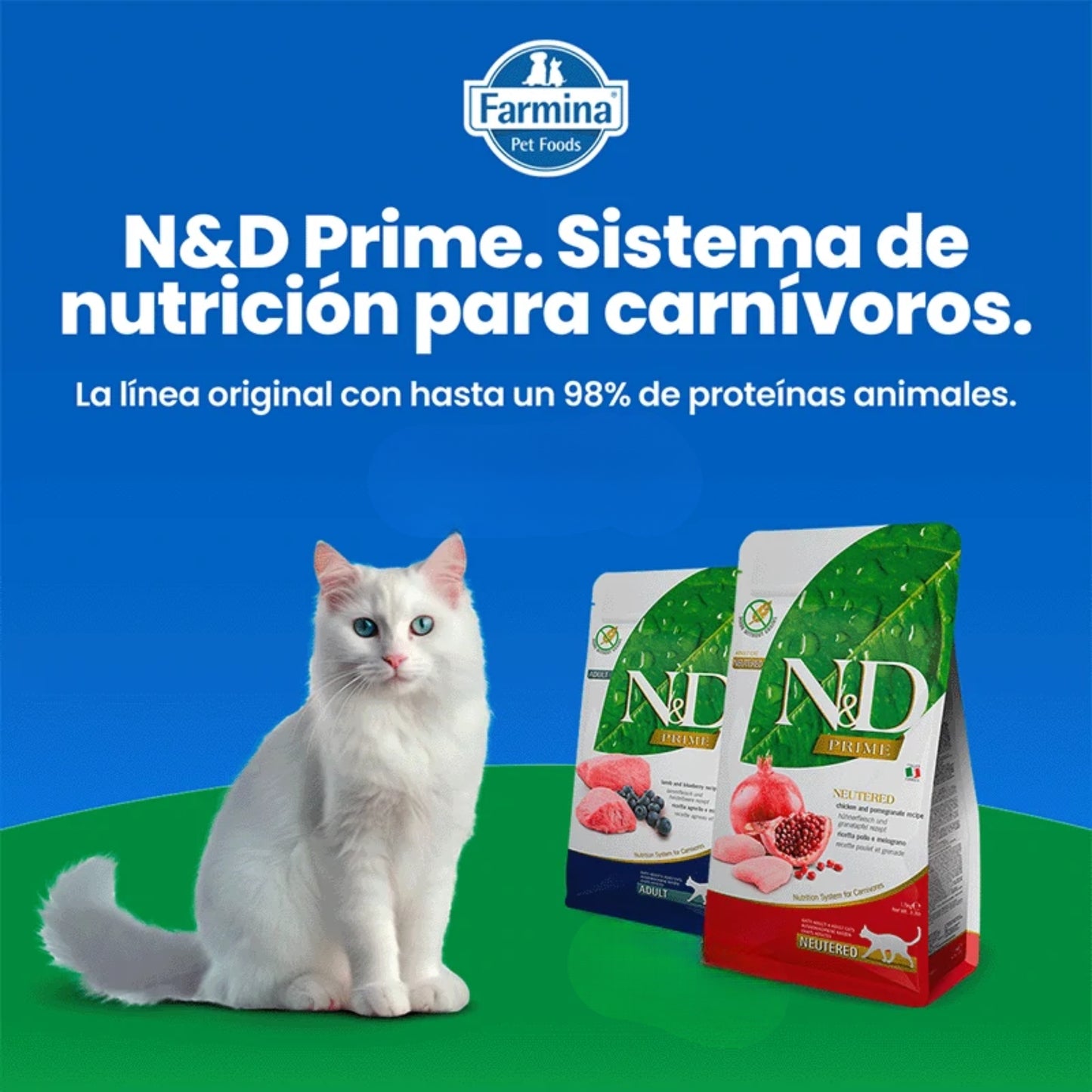 N&D Prime Cat Pollo Kitten 1.5 kg - Cosmos