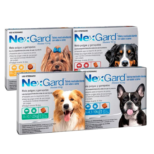 Nexgard antipulgas y garrapatas