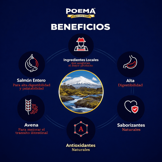 Alimento SuperPremium Poema Adulto Salmón - Cosmos