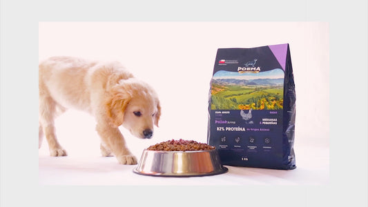 Alimento Superpremium Poema Senior Salmón