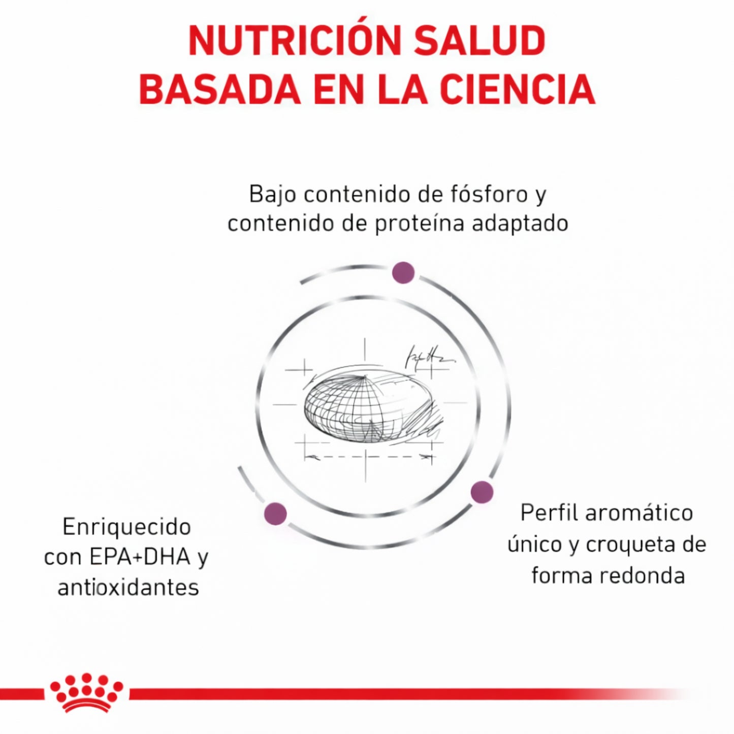 ROYAL CANIN® Renal Gato – Dieta veterinaria para el soporte de la función renal - Cosmos