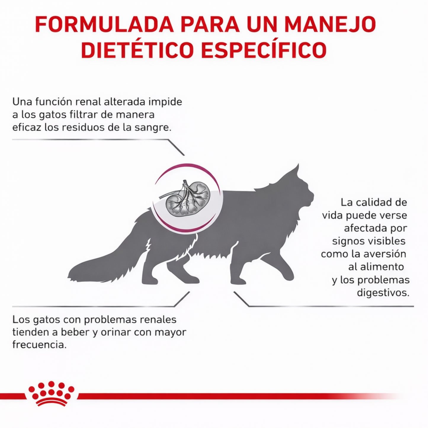 ROYAL CANIN® Renal Gato – Dieta veterinaria para el soporte de la función renal - Cosmos