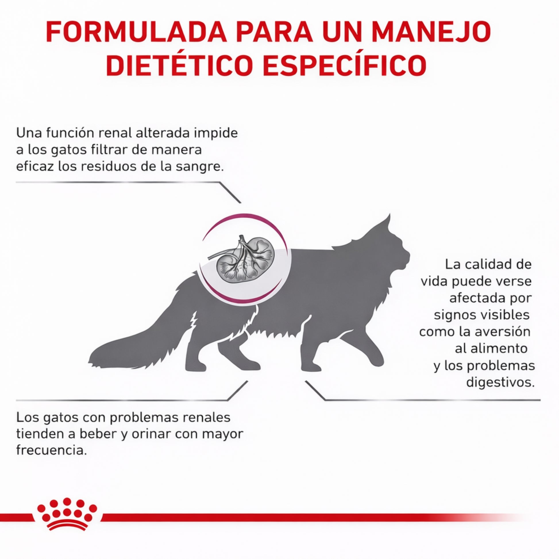 ROYAL CANIN® Renal Gato – Dieta veterinaria para el soporte de la función renal - Cosmos