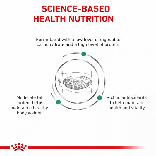 ROYAL CANIN® Diabetic S/O Gato – Dieta veterinaria para el manejo de la glucosa - Cosmos