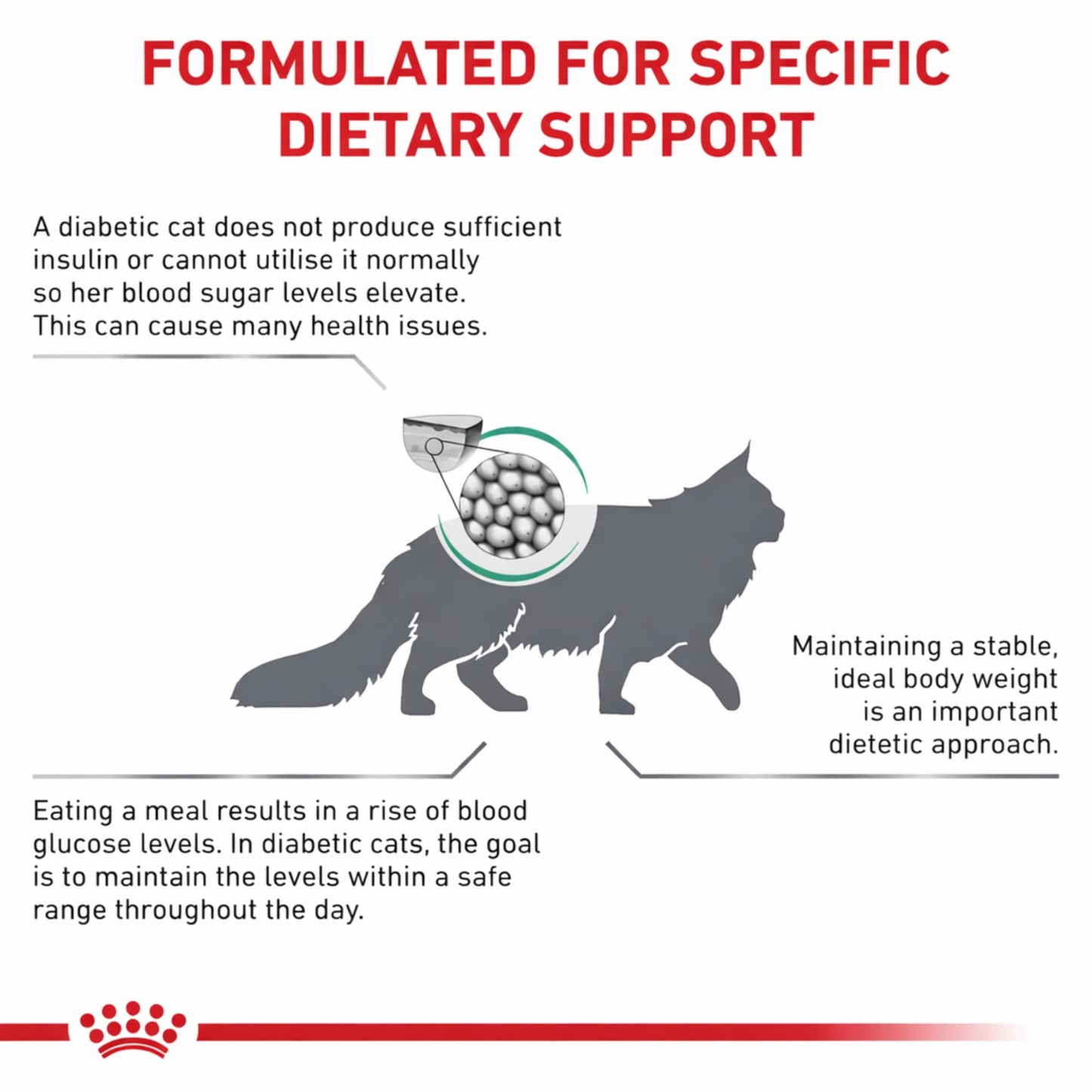 ROYAL CANIN® Diabetic S/O Gato – Dieta veterinaria para el manejo de la glucosa - Cosmos