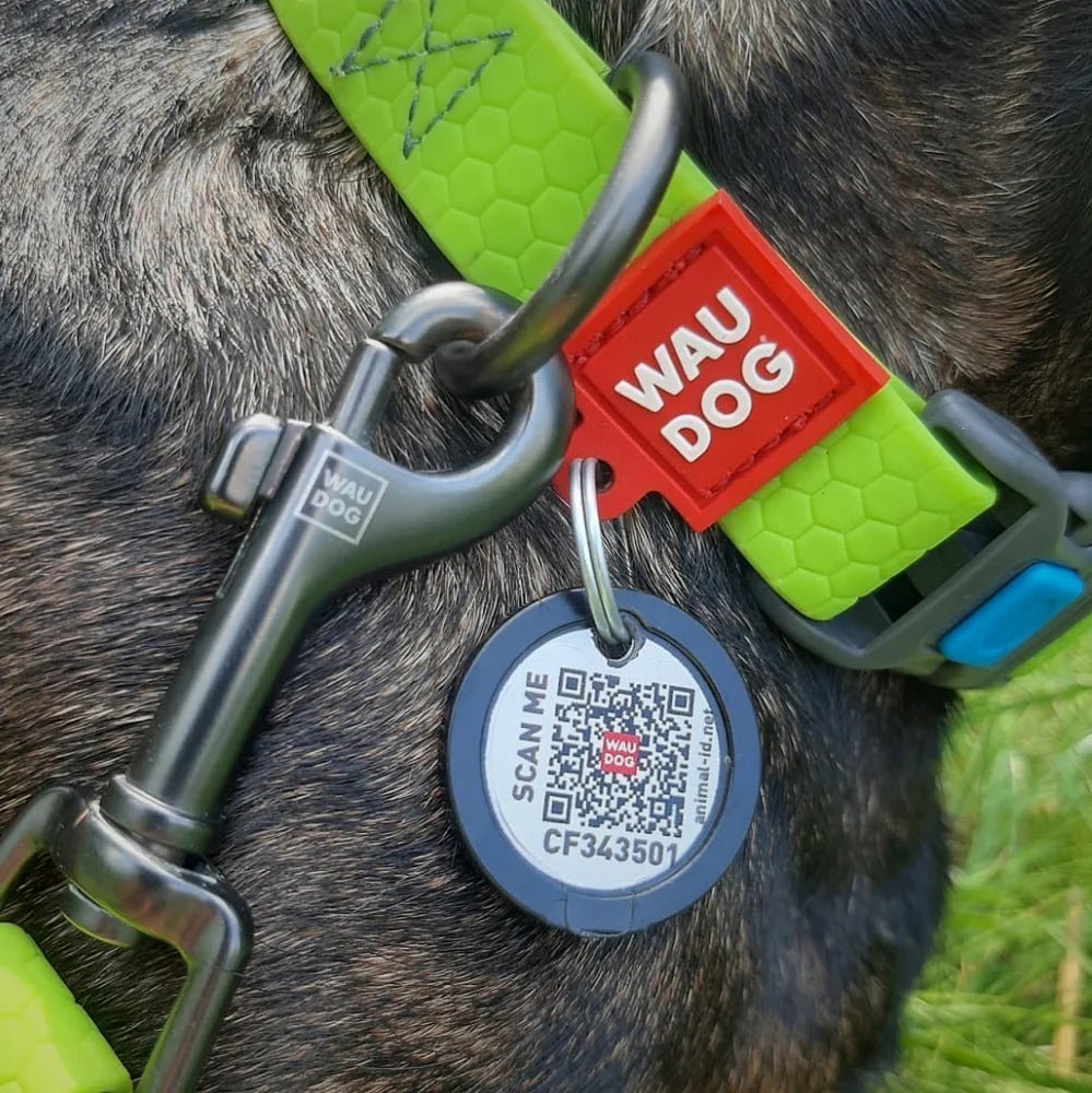 Collar WAUDOG Water impermeable broche plástico - Cosmos