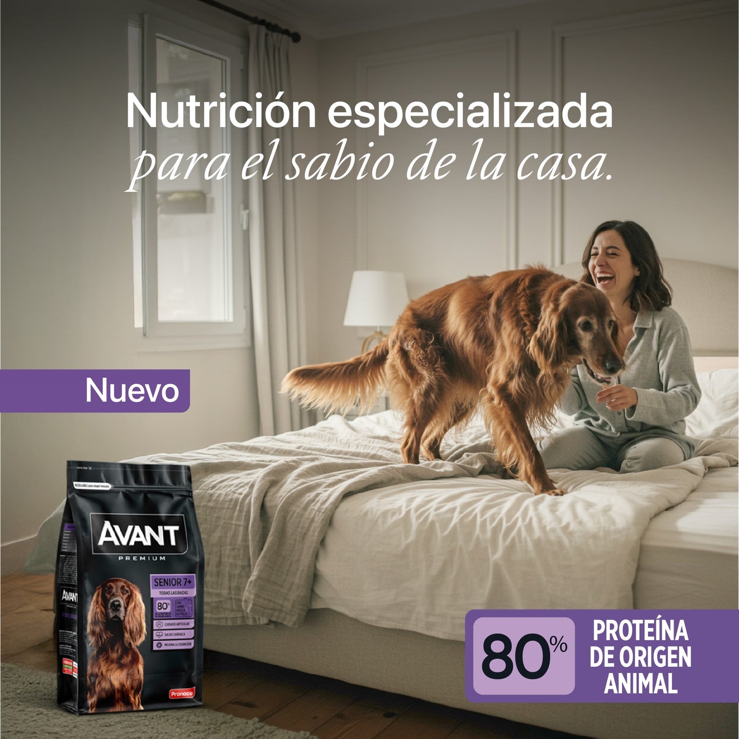 Avant Adulto Senior - Cosmos