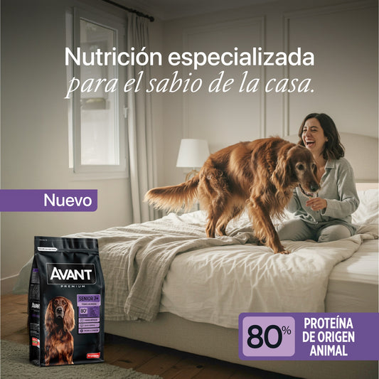 Avant Adulto Senior - Cosmos