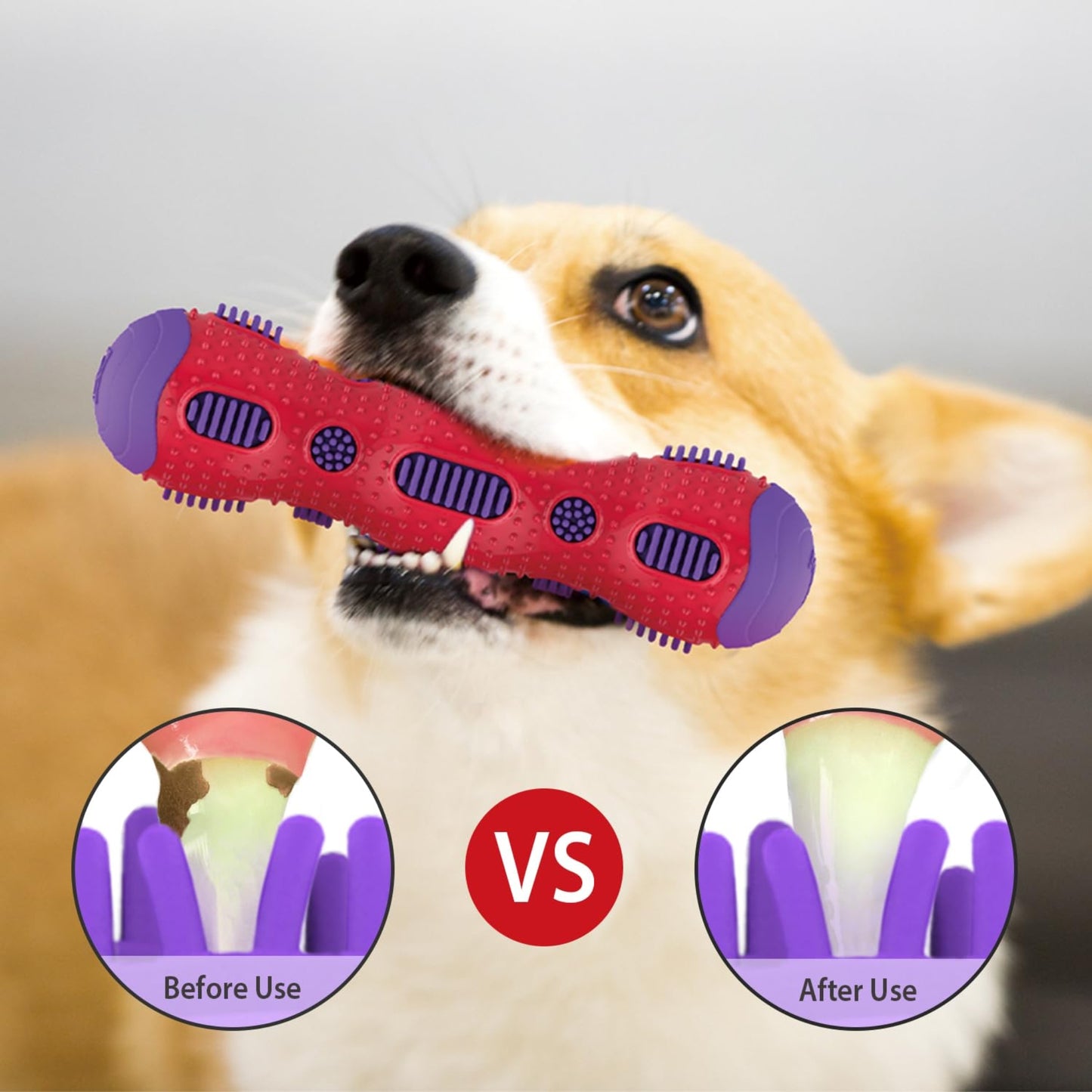 Juguete para perro GIGWI Toothbrush Stick Rubber Dental Chew - COSMOS