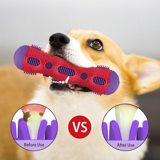 Juguete para perro GIGWI Toothbrush Stick Rubber Dental Chew - COSMOS